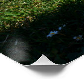 Fubby's op piano die muziek maken en dansen. perfect poster (Hoek)