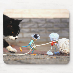 Fubby's spelen met bol touw en Poes Ping. Muismat