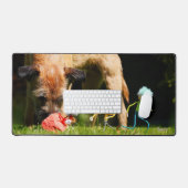 Fubby's stier scene spelend met een Hond. Bureaumat (Keyboard & Muis)