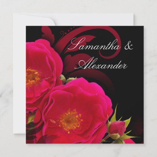 Fuchsia and Black Garden Roos with Swirl Square Kaart (Achterkant)