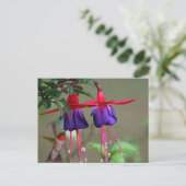Fuchsia and Hummingbird Briefkaart (Staand voorkant)