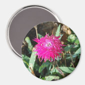 Fuchsia bloem fotomagneet magneet (Voorkant / Achterkant)