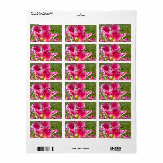 Fuchsia Bloemen Etiket (Full Sheet)
