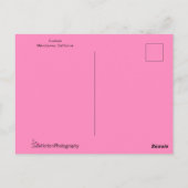 Fuchsia Blossom Briefkaart (Achterkant)