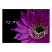 Fuchsia Cactus flower RSVP (Voorkant Horizontaal)