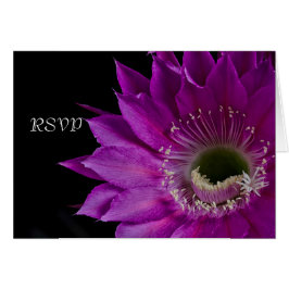 Fuchsia Cactus flower RSVP
