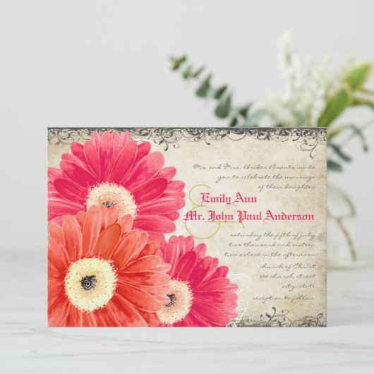 Fuchsia Coral Sinaasappel Gerber Daisy Wedding Inv Kaart (Staand voorkant)