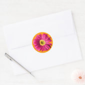 Fuchsia Daisy Flower Ronde Sticker (Envelop)