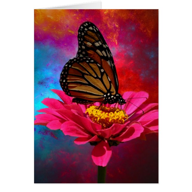 fuchsia daisy turquoise blauwgroen bohemiene vlind (Voorkant)