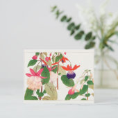 Fuchsia door Tanigami Konan Briefkaart (Staand voorkant)