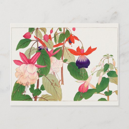 Fuchsia door Tanigami Konan Briefkaart (Voorkant)
