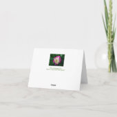 "FUCHSIA EN WITTE PIOEN" KAART (Achterkant)