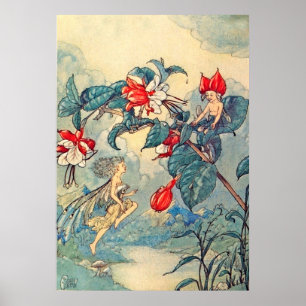  Fuchsia Fairies Poster