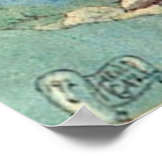  Fuchsia Fairies Poster (Hoek)