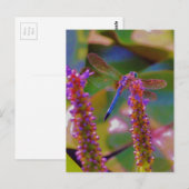 Fuchsia flower en dragon fly briefkaart (Voorkant / Achterkant)