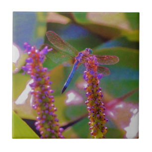 Fuchsia flower en dragon fly tegeltje