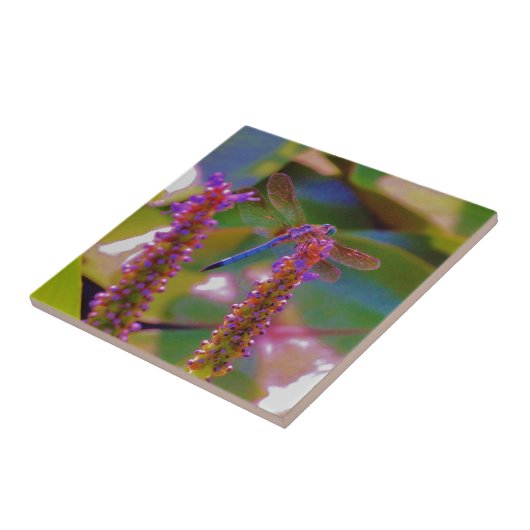 Fuchsia flower en dragon fly tegeltje (Zijkant)