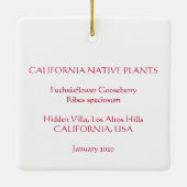 Fuchsia Flower Gooseberry Keramisch Ornament (Achterkant)