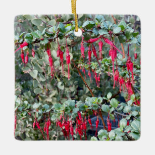 Fuchsia Flower Gooseberry Keramisch Ornament
