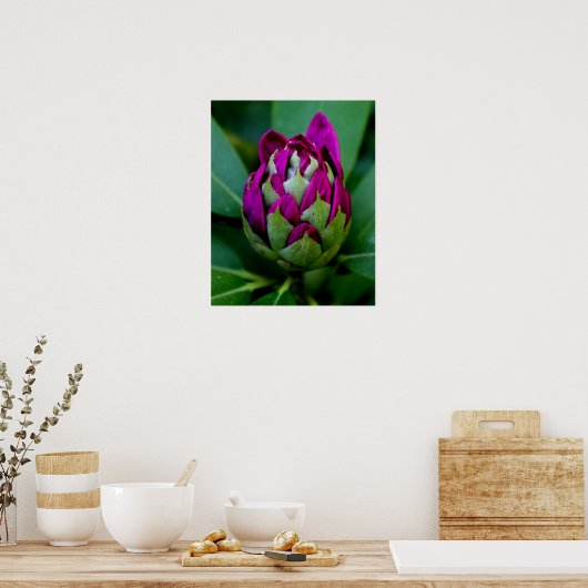 Fuchsia Flower Poster (Keuken)