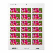 Fuchsia Flowers Etiket (Full Sheet)