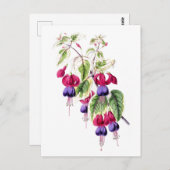Fuchsia Flowers Vintage Botanical Postcard Briefkaart (Voorkant / Achterkant)