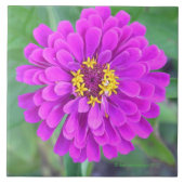 FUCHSIA-GEKLEURDE BLOEM TEGELTJE (Voorkant)