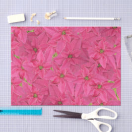 Fuchsia gekleurde poinsettia's, bloemenpatroon tissuepapier