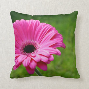 Fuchsia Gerbera Daisy Blooming Kussen