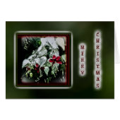Fuchsia-kerstWenskaart - rood (Voorkant Horizontaal)