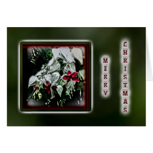 Fuchsia-kerstWenskaart - rood (Voorkant Horizontaal)