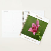 Fuchsia Lelie Planner (Display)