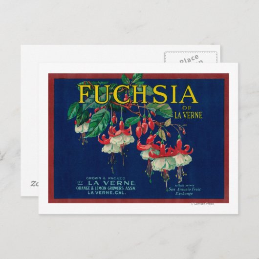 Fuchsia Lemon LabelLa Verne, CA Briefkaart (Voorkant / Achterkant)