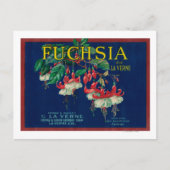 Fuchsia Lemon LabelLa Verne, CA Briefkaart (Voorkant)