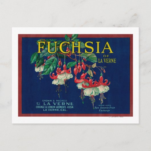 Fuchsia Lemon LabelLa Verne, CA Briefkaart (Voorkant)