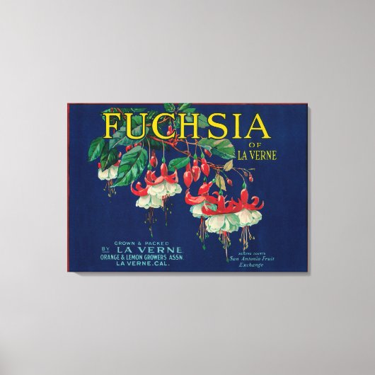 Fuchsia Lemon LabelLa Verne, CA Canvas Afdruk (Voorkant)