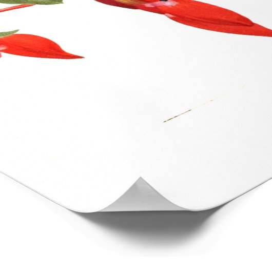 Fuchsia 'Monarch' Poster (Hoek)