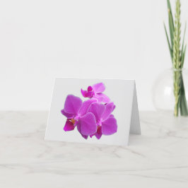 Fuchsia moth orchids op een Dankuwel kaart