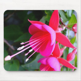Fuchsia Mousepad Muismat