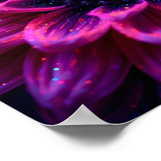 Fuchsia Nevel Poster (Hoek)