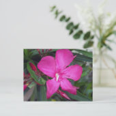 Fuchsia Oleander Foto Briefkaart (Staand voorkant)