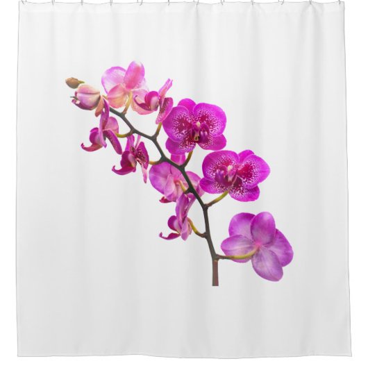 Fuchsia Orchid Spray Douche Gordijn (Voorkant)