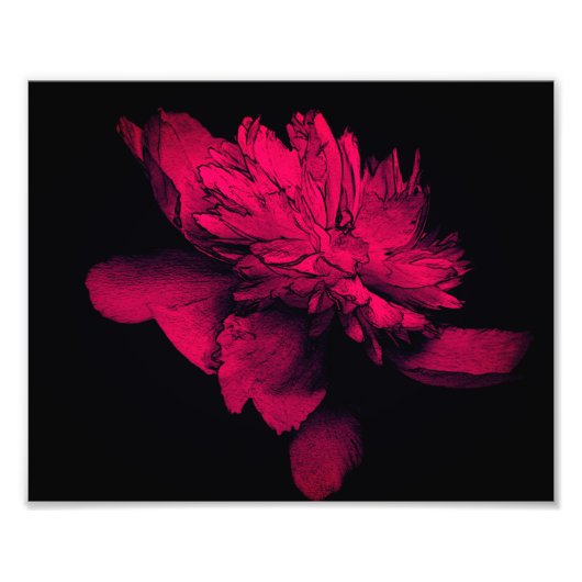 Fuchsia Peony Flower Abstract Bloemen Art 8x10 Foto Afdruk (Voorkant)