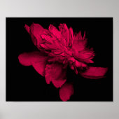 Fuchsia Peony Flower Abstract Floral Art Poster (Voorkant)