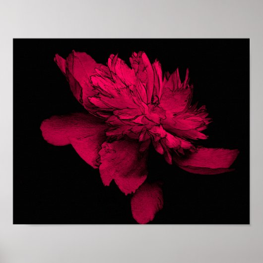 Fuchsia Peony Flower Abstract Floral Art Poster (Voorkant)
