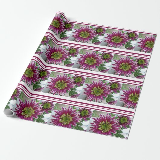 Fuchsia Pink Chrysanthemums Collage Wrapping Paper Cadeaupapier (Uitgerold)