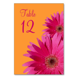 Fuchsia Pink Oranje Gerbera Daisy Wedding Kaart
