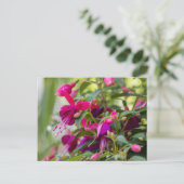 Fuchsia Plant Briefkaart (Staand voorkant)