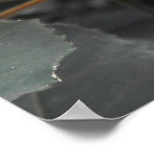 Fuchsia Poster (Hoek)