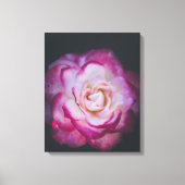 Fuchsia roos canvas afdruk (Voorkant)